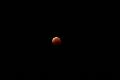 D_20150928-052228 IMG_0547